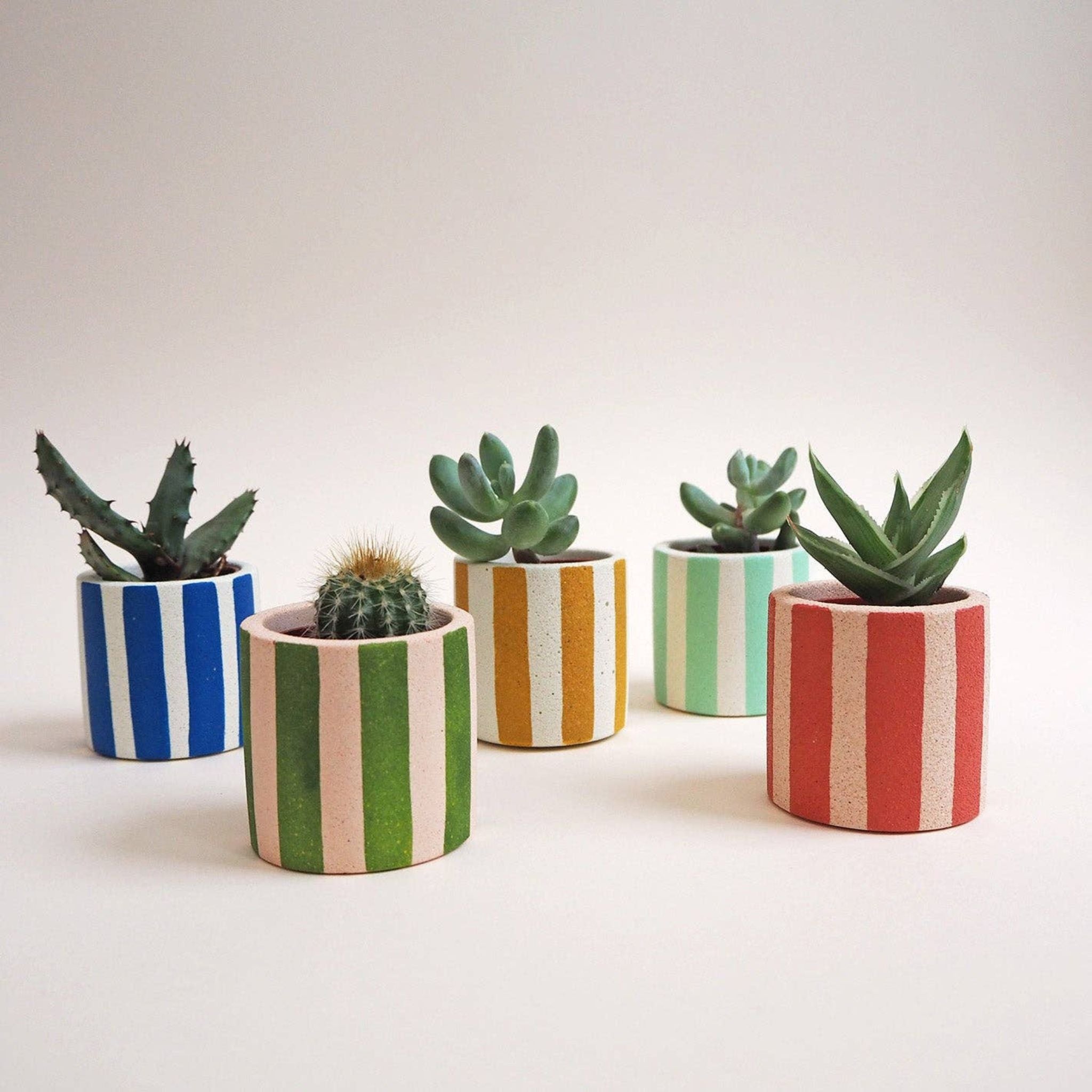 Home Accessories